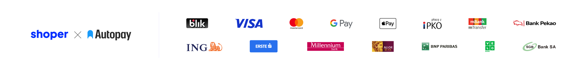 Bezpieczne płatności: BLIK, karty Visa i Mastercard, Google Pay, szybkie przelewy – Shoper Płatności / Autopay