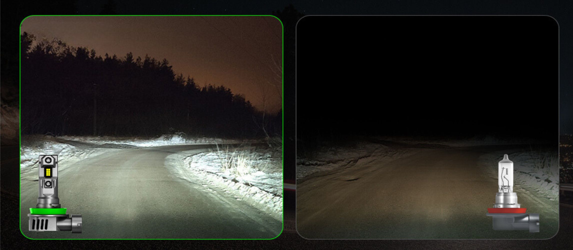 Żarówki H11 LED CANBUS FATEEYE 1 do 1 24V mocne białe światło 6500K zasięg światła na drodze