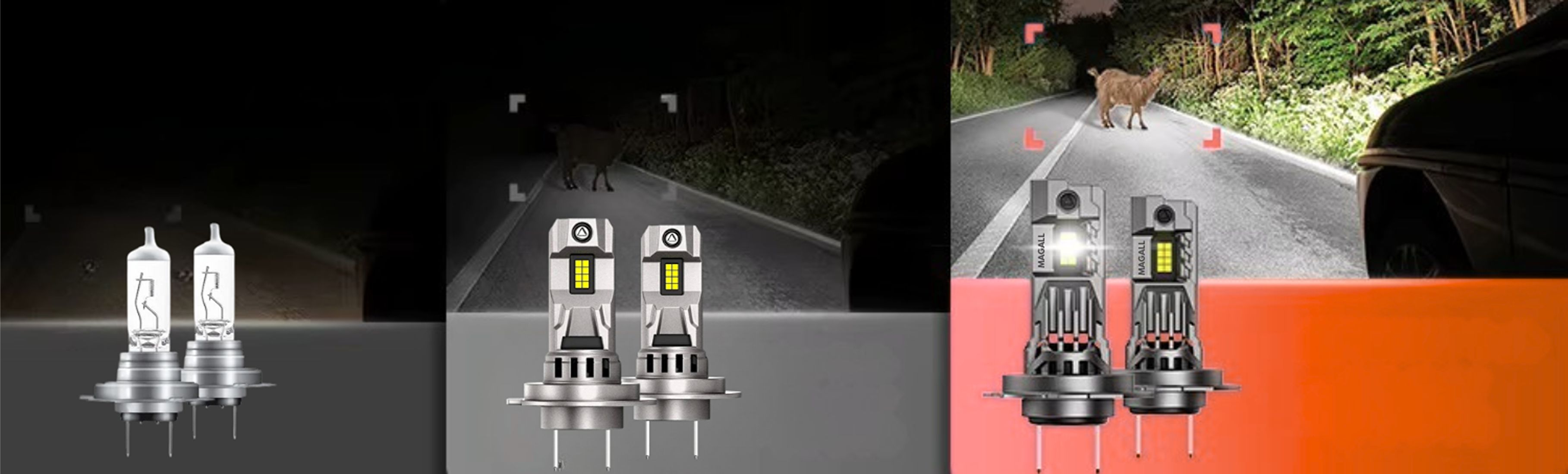 led h7 magall m2 12v 20000lm wysoka jasnosc